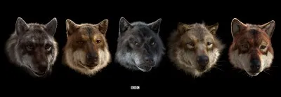 Dans quel épisode rencontre-t-on un nouveau personnage dans la saison 2 ?