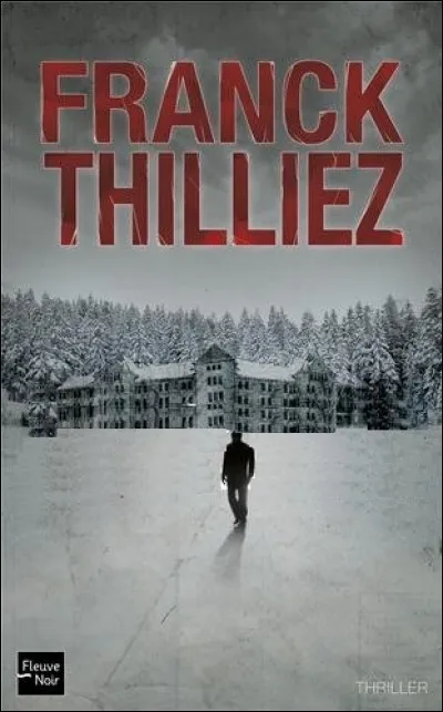 Quel est le titre de ce roman ?