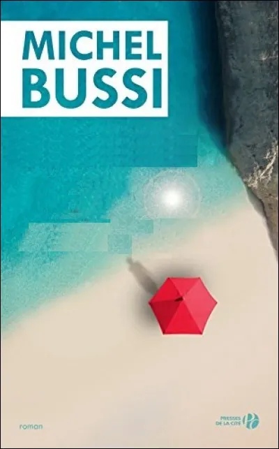 Quel est le titre de ce roman ?