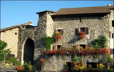 Quel est le plus grand producteur de cacao ?