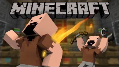 Comment se prénomme le frère du créateur ?