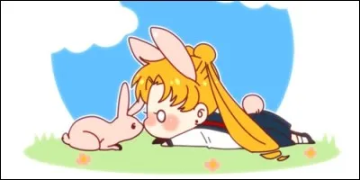 Qu'est-ce que ce nom signifie en français ?