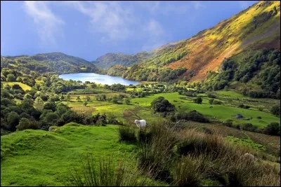 Quelle est la langue celtique la plus vivante (ayant le plus grand nombre de locuteurs) ?