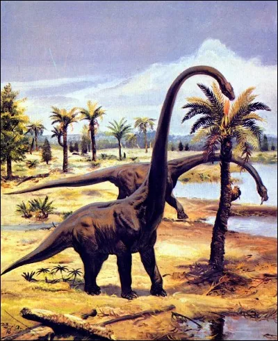 Quel est le sauropode au cou le plus long?