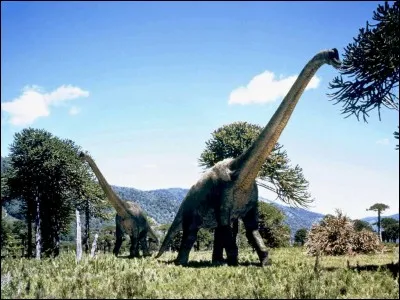 Quelle était la taille des crottes d'un brachiosaure ?
