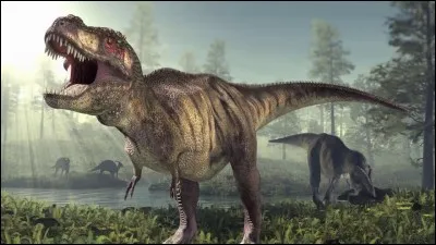 Combien de crocs avait le tyrannosaure ?