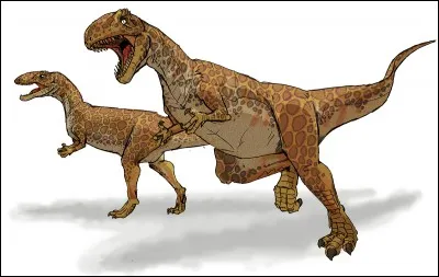 À quelle famille appartenait le carcharodontosaurus ?