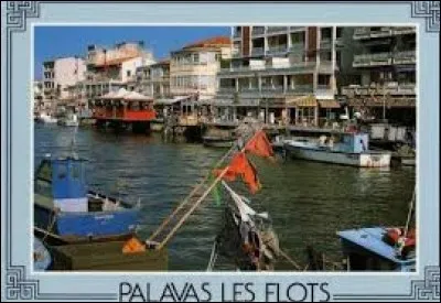 Un ami vous envoie une carte postale de ses vacances à Palavas-les-Flots. Station balnéaire sur la Côte d'Améthyste, dans l'aire urbaine Montpelliéraine, elle se situe dans le département ...
