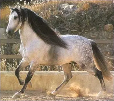 Comment est-il monté la plupart du temps ?