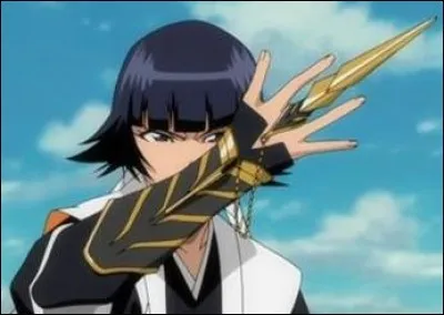 Quel est le nom du zanpakuto de Soi Fon dans "Bleach" ?