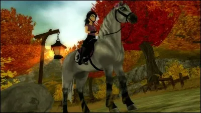 Quelle est cette race ?