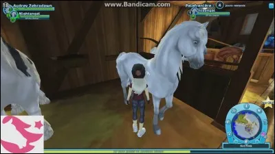 Quelle est la race suivante ?