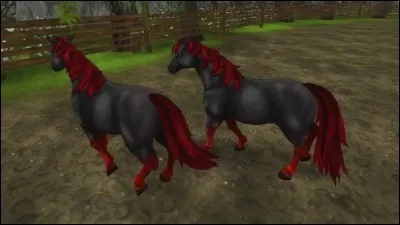 Quelle est cette race ?