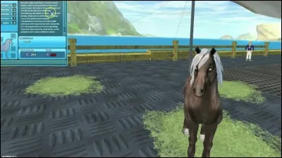 Quelle est la race suivante ?