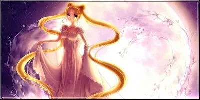 Comme vous l'aurez certainement deviné, cette dernière était la princesse :