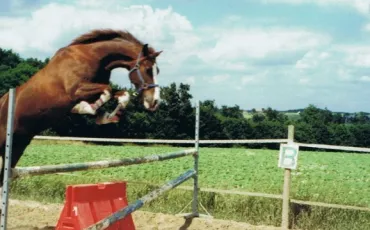 Quiz Galop 4