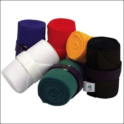 Pourquoi mettre des bandes de travail à un cheval ? Elles ...