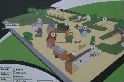 Dans une carrière, à allure égale, quel est le cavalier qui a la priorité ?