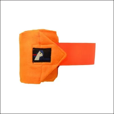 Quelle partie du cheval doit être protégée en priorité pendant le transport ?