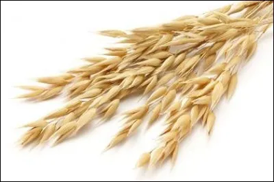 La ration alimentaire du cheval est déterminée en fonction de quels critères ?