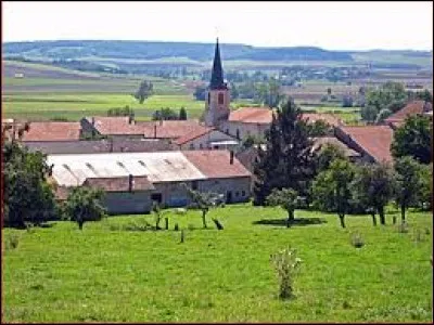 Nous terminons notre balade dans le Grand-Est, &agrave; Vannecourt. Petit village de 88 habitants, dans le Saulnois, il se situe dans le d&eacute;partement ...