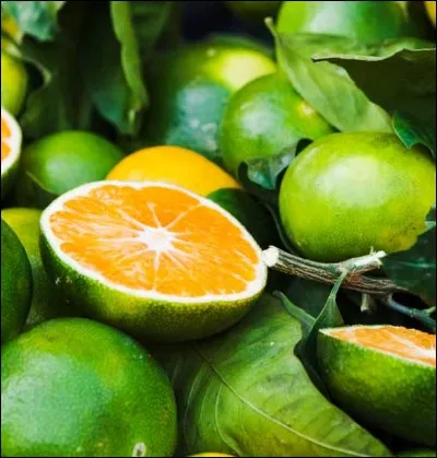 U - Cet agrume originaire de la Jamaïque, hybride du pomelo et de la mandarine, est un ''ugli''.