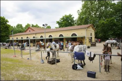 Quel qualificatif convient à un établissement tel qu'un centre équestre ?