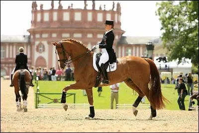 Quelles sont les principales aides artificielles ?