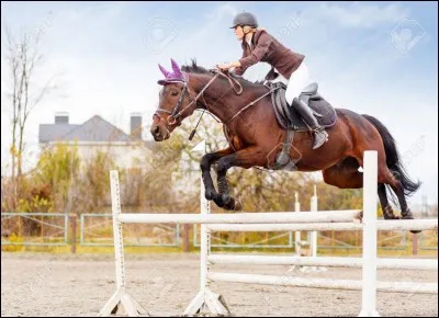 Quelles sont les principales aides naturelles ?