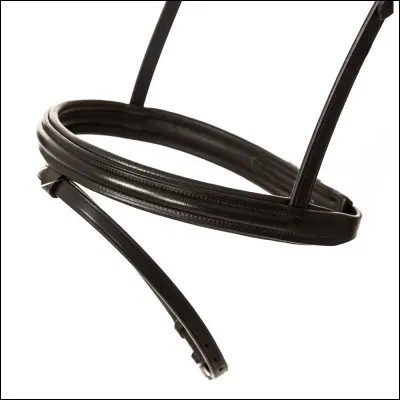 Quelle est cette partie du filet ?