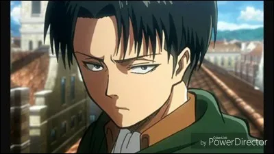 Dans « L'Attaque des Titans » quelle est l'activité favorite de Livaï ?