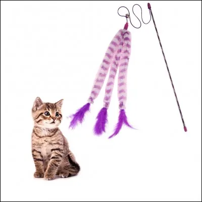 Lors des fins de semaine, que fais-tu ?