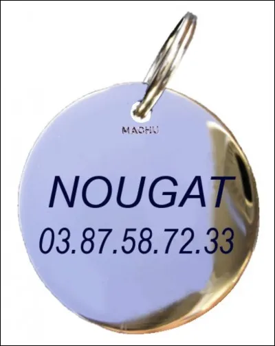 Quel nom choisirais-tu pour ton chat parmi les suivants ?