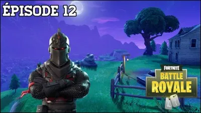 Comment s'appelle ce skin ?