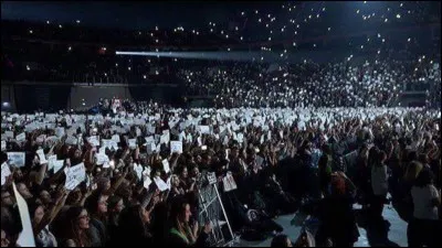 De quelle communauté de fans Avalanna faisait-elle partie ?