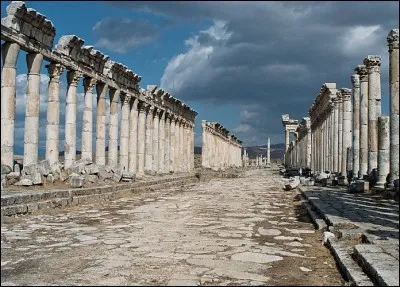 Le pays possède avec Apamée, Doura Europos, Mari, Palmyre, un riche patrimoine archéologique. C'est :