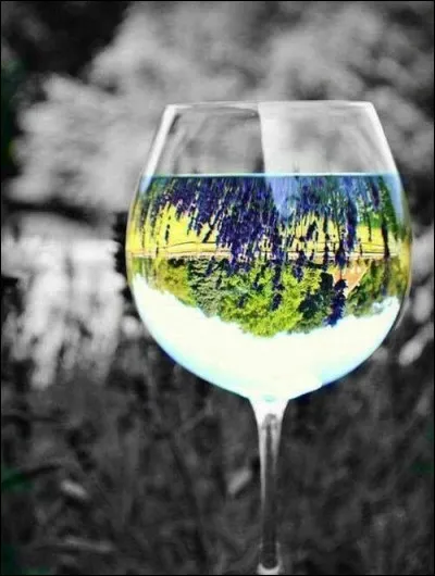 Lequel de ces vins n'est pas un vin de la Loire ?