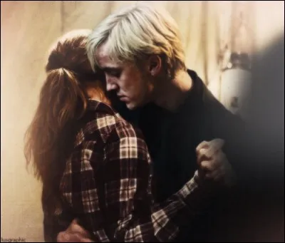 Quelle insulte Drago et Rogue lancent-ils &agrave; Hermione ?