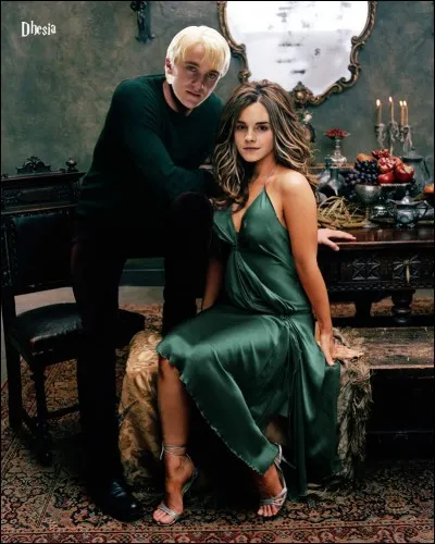 Quel est le surnom du couple Drago et Hermione que tous les Potterheads connaissent ?