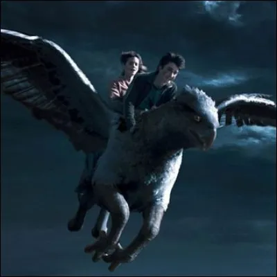 Qui frappe-t-elle d'un coup de poing ?