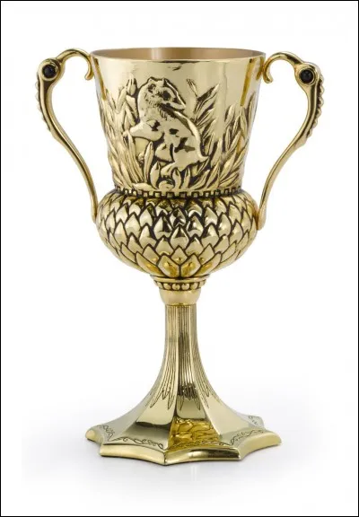 La coupe est celle de...