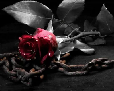 Quelle chaîne a été inventée par l'américain Harry D. Weed, grâce à laquelle on atteint le top ?