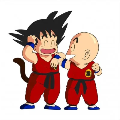 Qui est le plus vieux entre Goku et Krillin ?