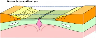 Comment appelle-t-on un mouvement de divergence ?