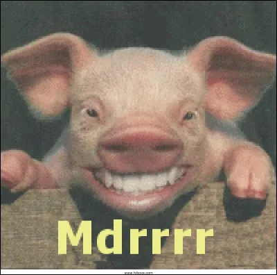 Sur quel garçon Tibou a-t-elle craqué la semaine du 19 au 25 février 2018 ?