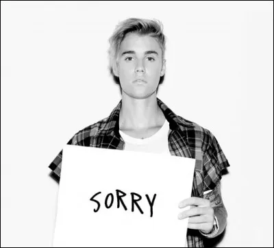 Quelle est l'année de sortie de sa chanson "Sorry" ?