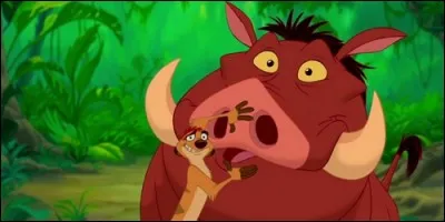 Dans "Timon et Pumbaa", lequel d'entre eux est Timon ?