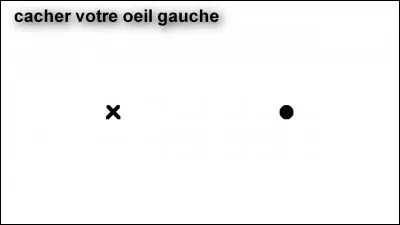 Comment se nomme le seul endroit de la rétine où il n'y a pas de cellules photoréceptrices ?