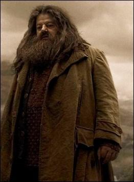 Dans quelle saga me voit-on ?