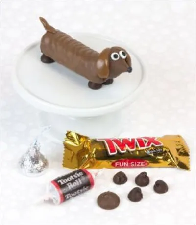 Adorable au point qu'on hésiterait à le grignoter, ce petit chien est un peu minutieux à confectionner, mais il en vaut la peine. Un instrument est indispensable toutefois pour le réussir, lequel ?